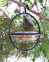 Zazu Black Steel Bird Feeder with Clear Bowl